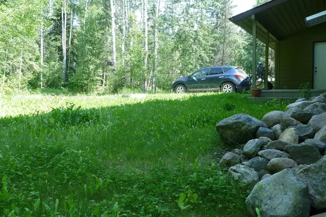Cabin porch and yard in the boreal forest
